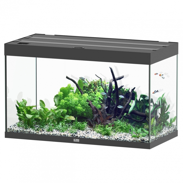 Acuario Aquatlantis SUBLIME