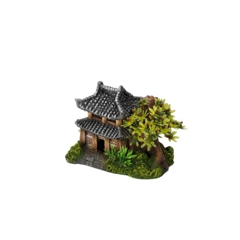 CASITA COREANA
