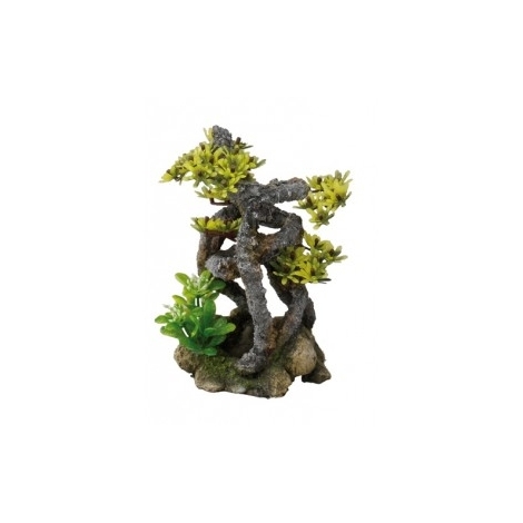 BONSAI TWIST