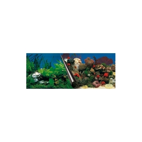 LÁMINA FONDO DECORATIVA 80x40 cm