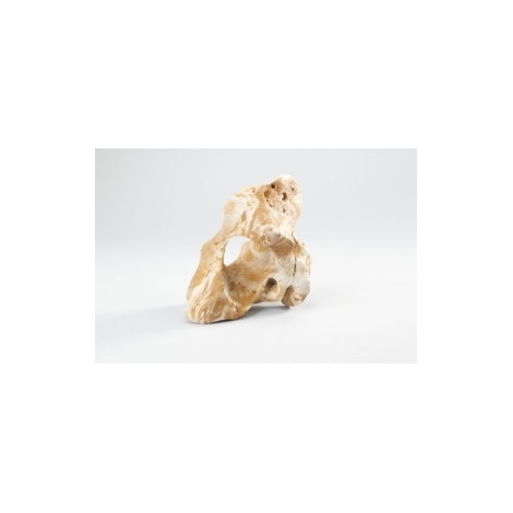 ROCA COMBO M BLANCO MARRON