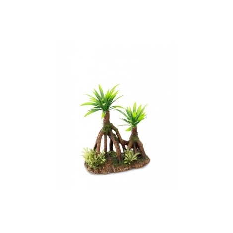 RAIZ ÁRBOLES CON PALMERAS